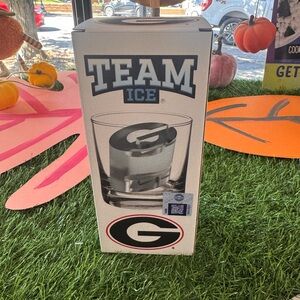 Team Ice mold with Georgia Logo